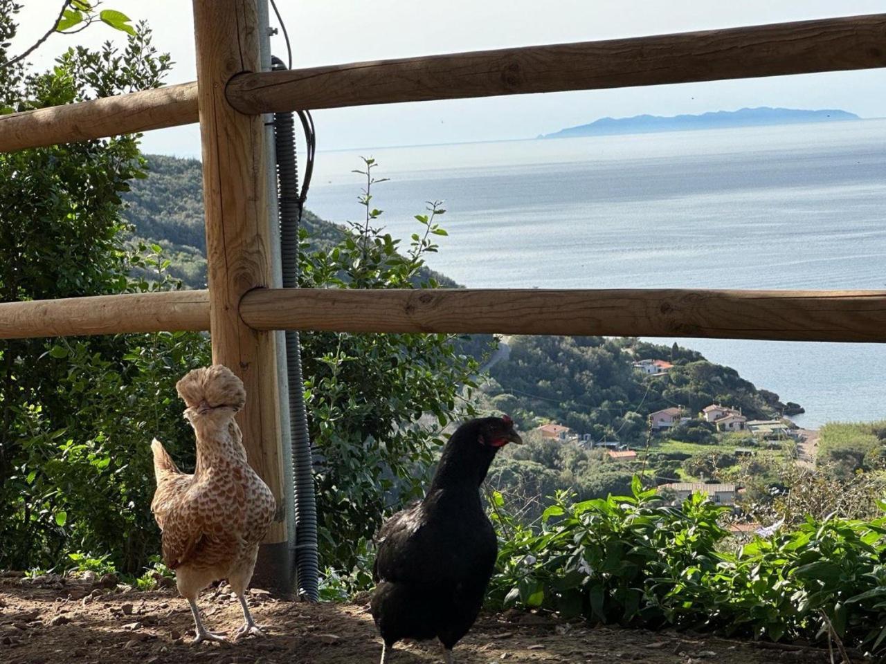 Agriturismo Paradisa Rio nell'Elba Exterior photo